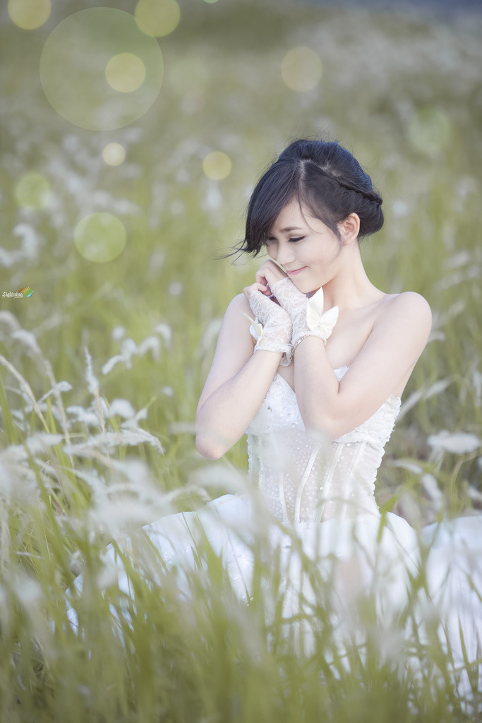 成人黄色免费小说
